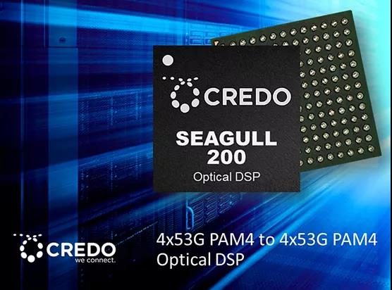 200G光通信DSP喜添新成員 Credo Seagull 200應(yīng)運而生