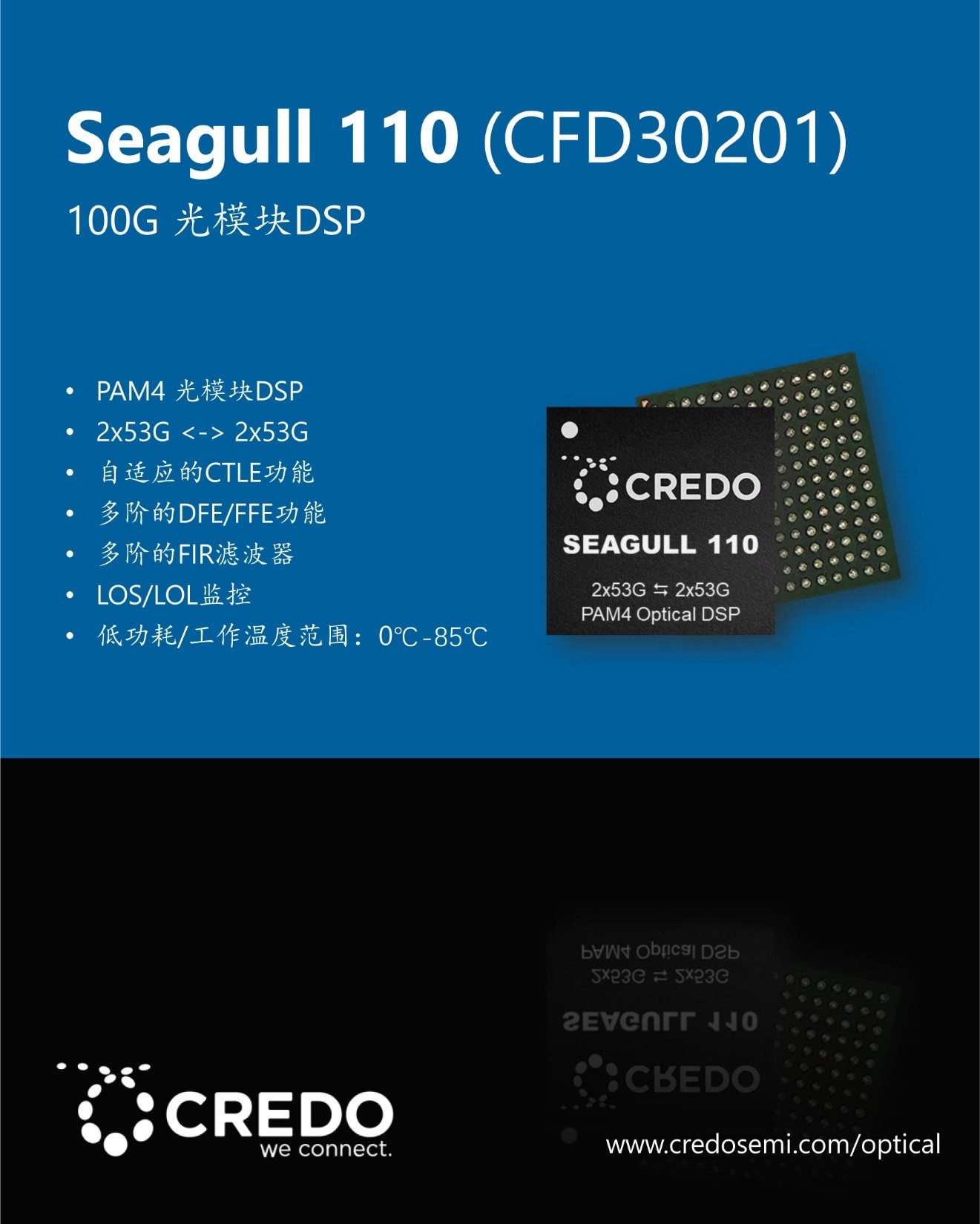 Credo 光DSP再添新成員：Seagull 110和Seagull XR8